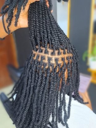 Spring Twists