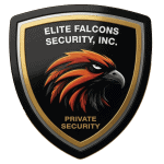 Eagle EFS Logo
