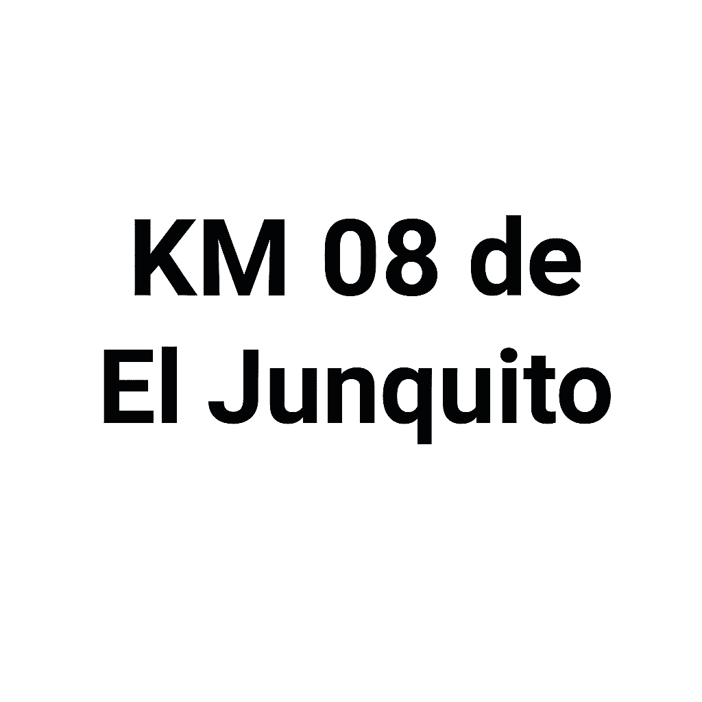 Km 08 El Junquito