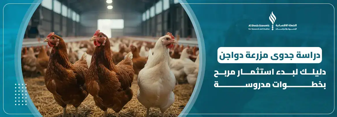 دراسة جدوى مزرعة دواجن