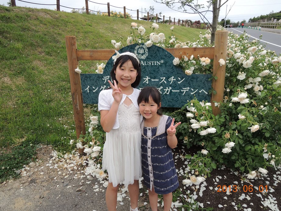 デビットオースチンのローズガーデンへ行ってきた！前半