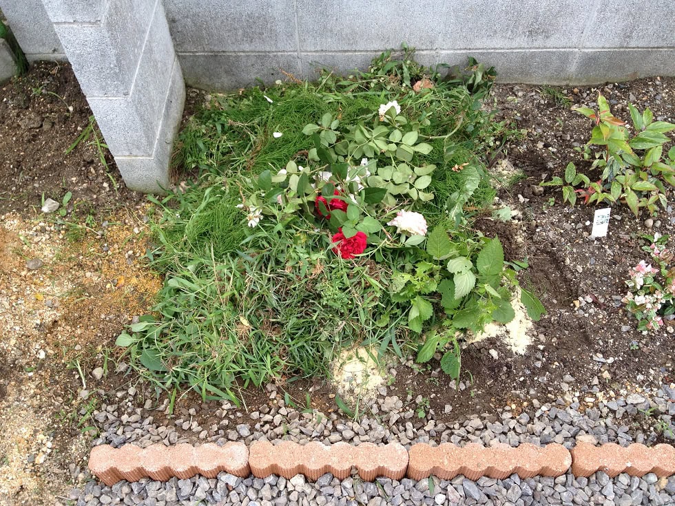 花壇で手作り堆肥！雑草を発酵させてみました！