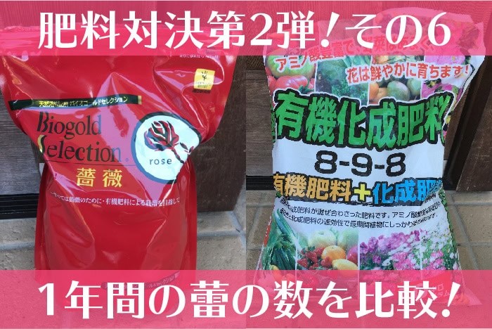 肥料対決第二弾その6！2019年の蕾の数を比較！勝敗は？
