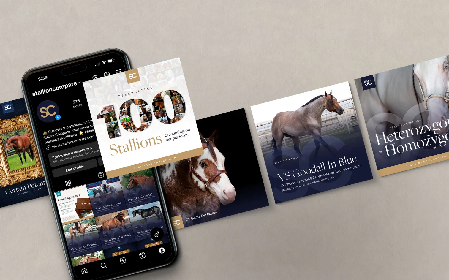 Stallion Compare