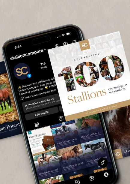 StallionCompare.com