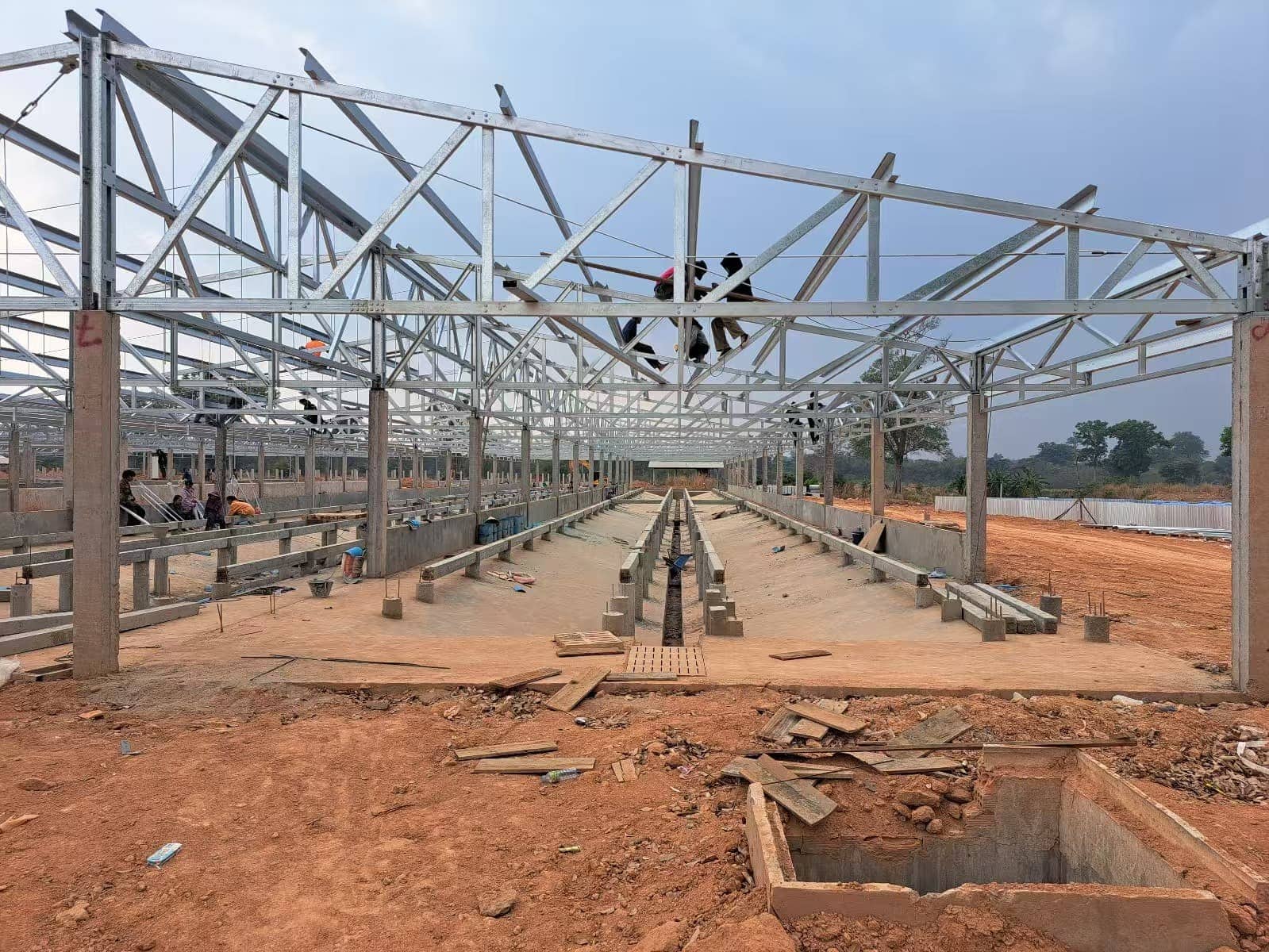 Descripción General de la Inversión en Granjas Avícolas Comerciales