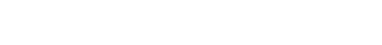 euro-consult-logo2