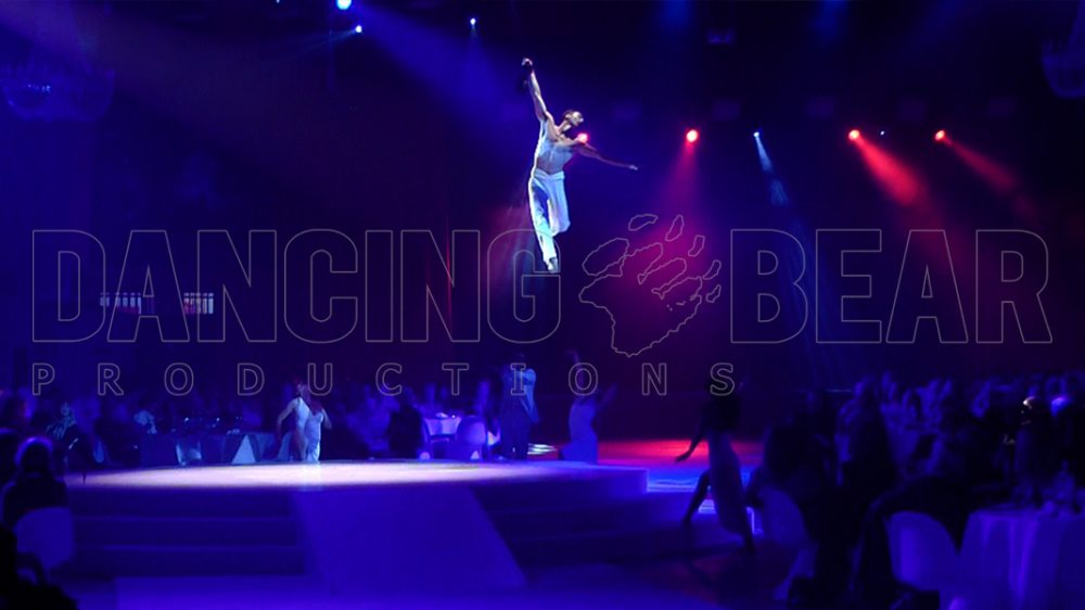 Aerial Straps Showact