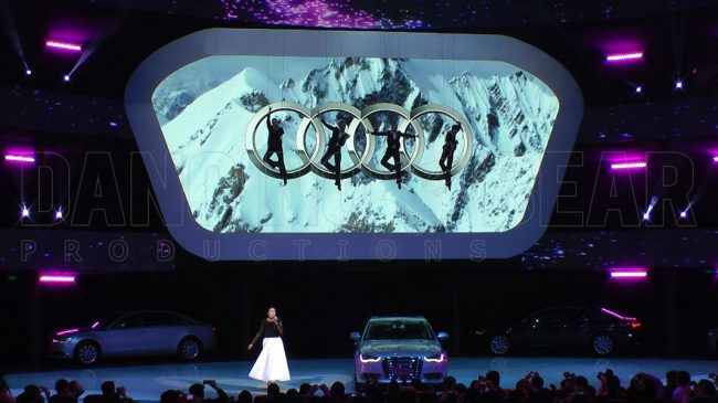 Vertical Dance Showact