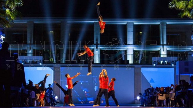 Hand Voltige Showact