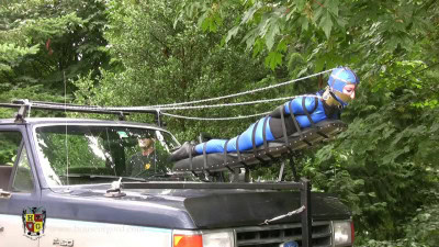 Swallow Diving on an F-150