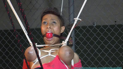 Dani is Tightly Bound and Abused - Part 2