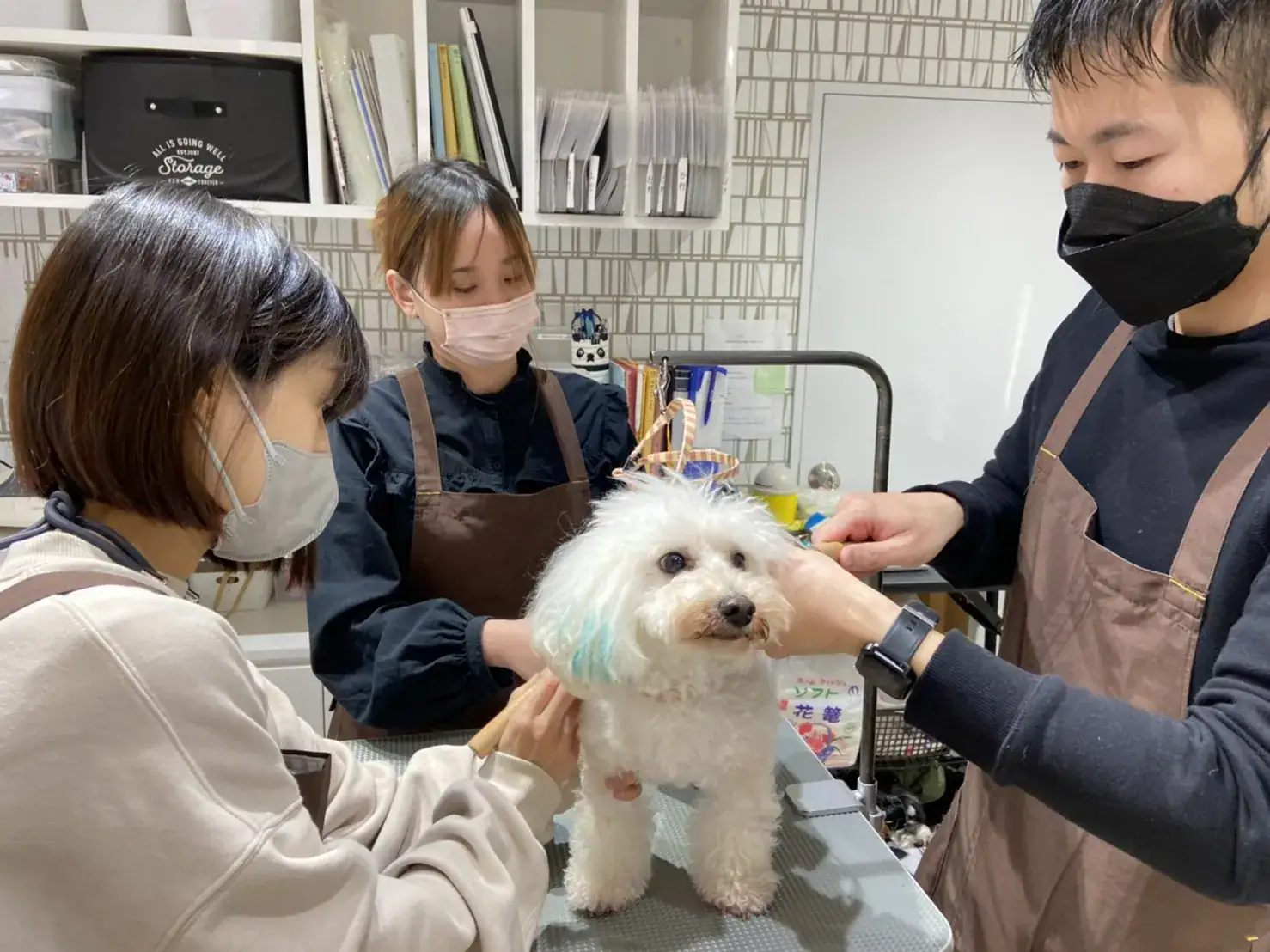 トリミング中
