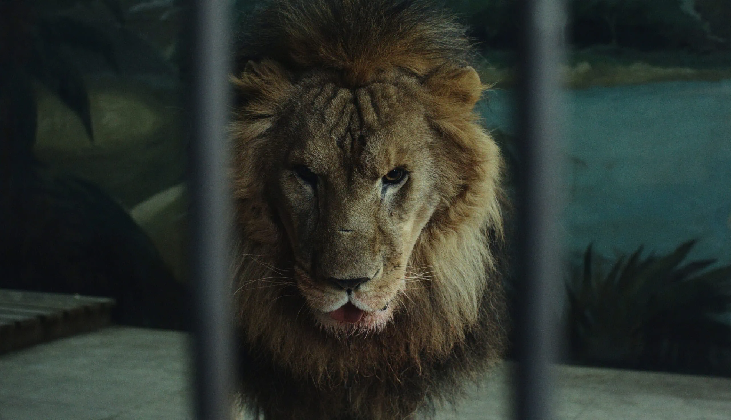 Prémio Melhor Filme | Semana dos Realizadores