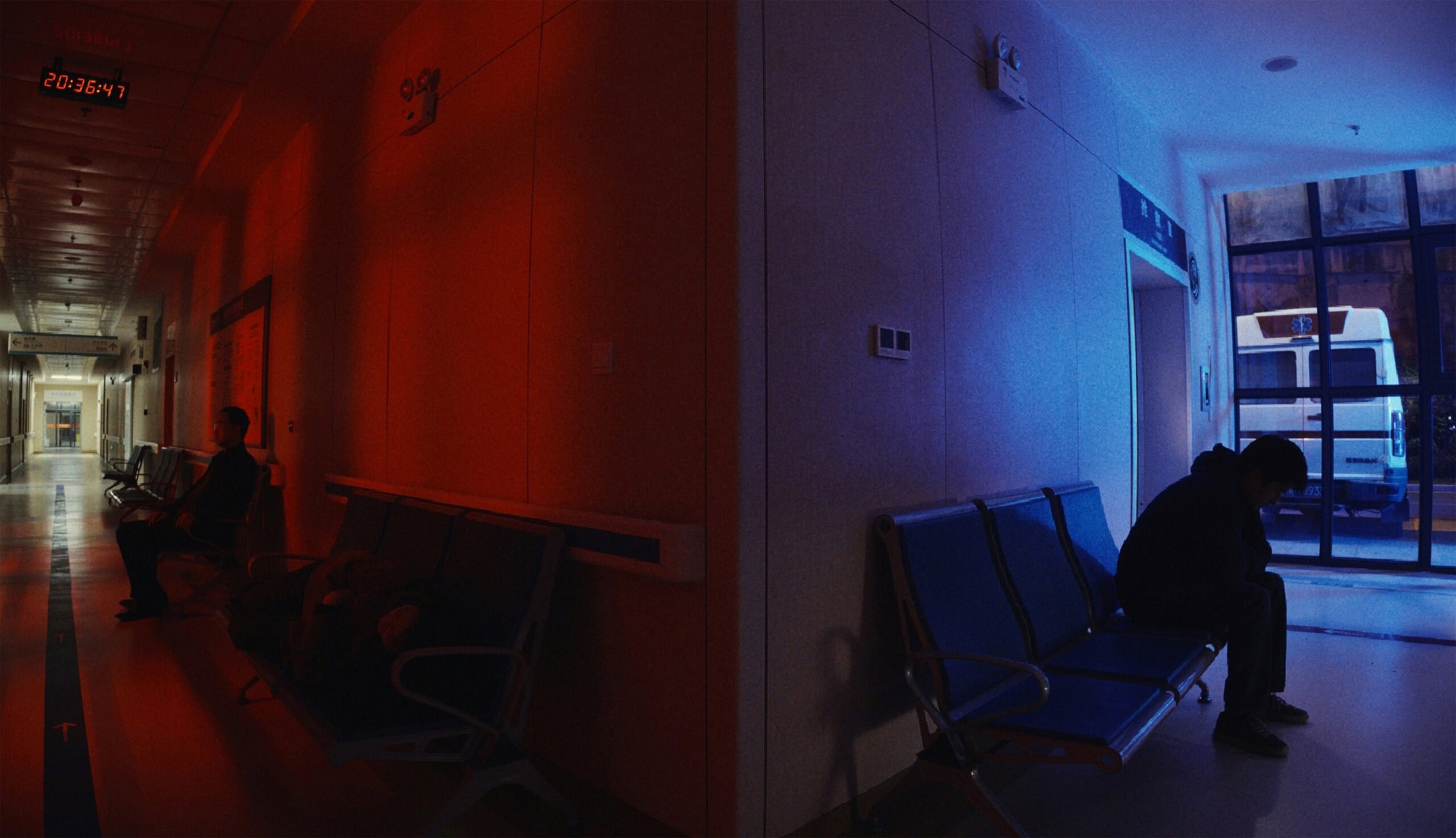 Wild Nights, Tamed Beasts