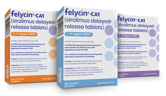 Felycin-CA1_12ct_Group_PS