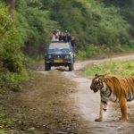 Brahma Sarovar Kurukshetra – Best Place to Visit in Haryana 