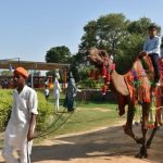 Joy Gaon Picnic Park – Best Picnic spot near Delhi NCR
