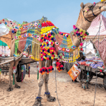 Places to Visit Near Delhi