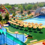 Top 5 Camping Places Near Delhi You Must Visit in Summer