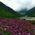 ट्रेकर्स को लुभाता है उत्तराखंड का नंदा देवी नेशनल पार्क
