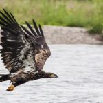 20 Most Famous National Parks in India