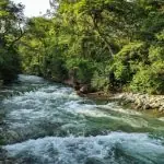 Top 6 National Parks of Uttarakhand