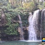 नैनीताल के रामनगर का गिरिजा देवी मंदिर किसी ने बनाया नहीं है, बल्कि नदी में बहकर आया था!