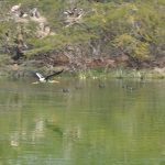 Yamuna Biodiversity Park