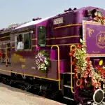 Rajaji National Park: घूमने का सबसे अच्छा समय, सफारी और टिकट