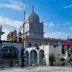 Daryaganj Book Market: ₹30 से किलो के भाव मिलती हैं किताबें