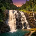 Tiger Camp Resort Jim Corbett Review: जंगल के बीच ठहरने का न. 1 अनुभव!