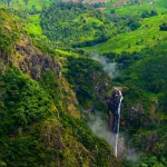 Delhi to Patna Road Trip: दूरी और सफर का समय