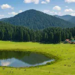Yumthang Valley Travel Guide: फूलों की घाटी और जीरो पॉइंट