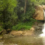 Nilgiri Mountain Railway: ऊटी की ऐतिहासिक टॉय ट्रेन का सफर