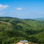 Nongkhyllem Wildlife Sanctuary: मेघालय का खूबसूरत जंगल