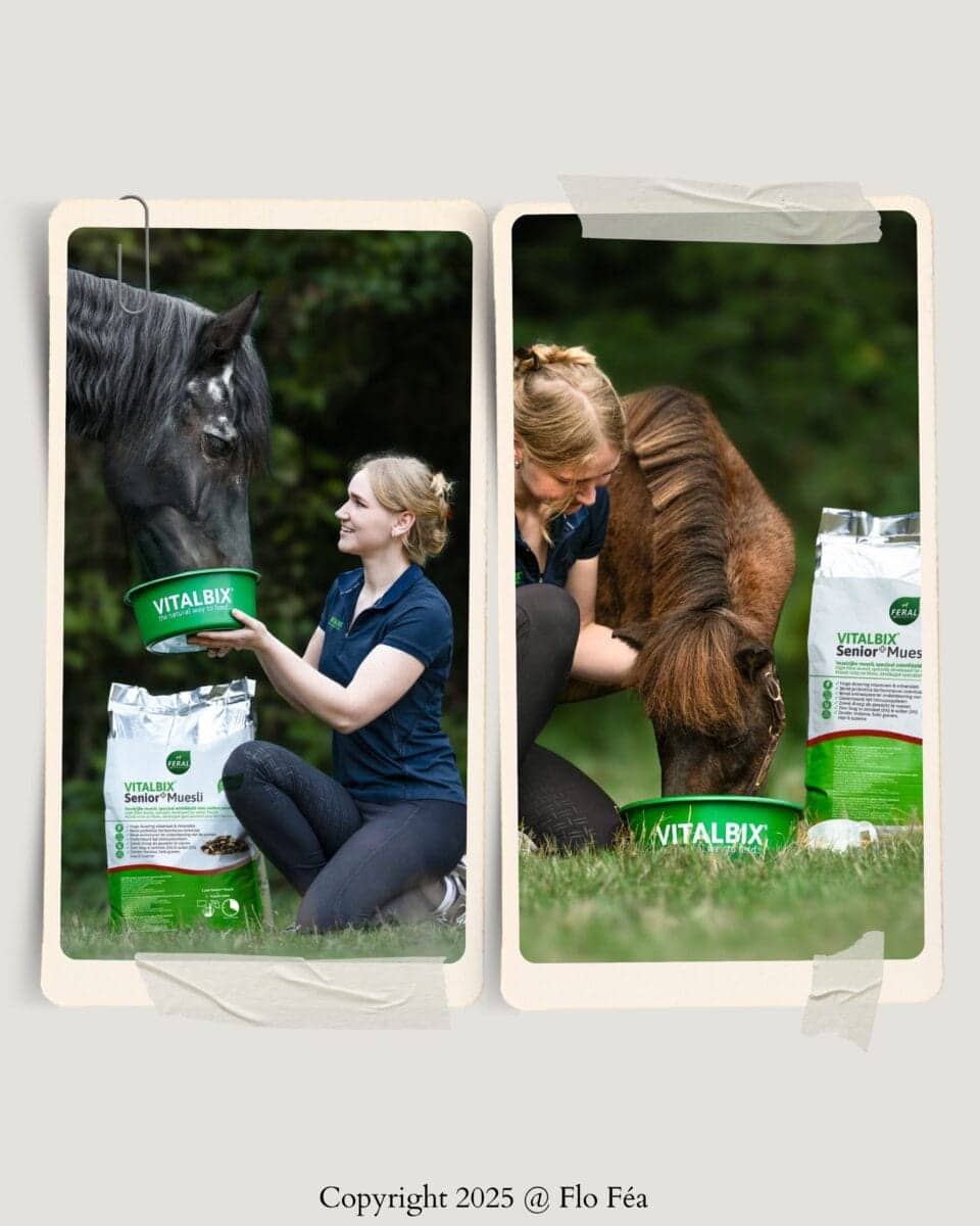 Vitalbix Senior+ Muesli 20 kg - Image 2