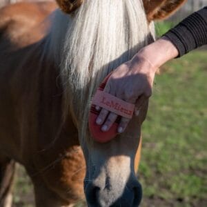 Flexi Scrubbing Brush Apricot