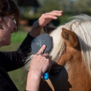 Tangle Tidy - Afbeelding 4