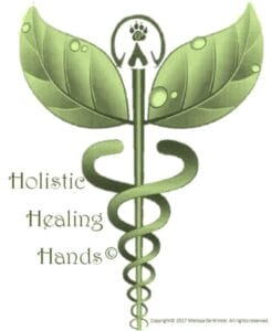Holistic Healing Hands Light & Fit 20kg - Image 2