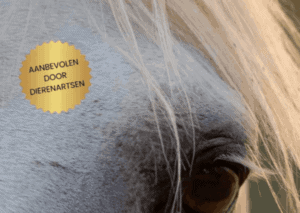 UNIQUE B30 Healthbooster 1L - Image 2