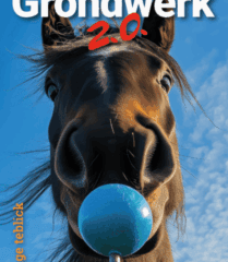 Inge Teblick- Grondwerk 2.0 NL