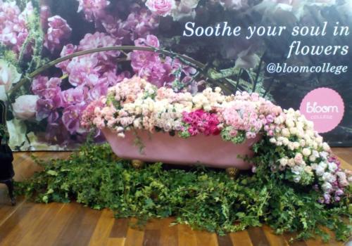 Bloom2
