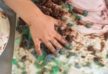 Formation animer un atelier de peinture végétale, Formation petite enfance