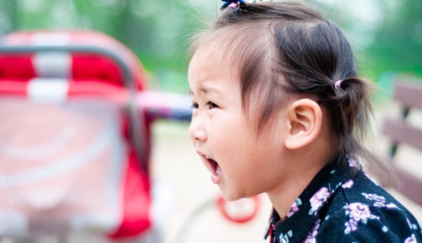 Pourquoi ne pas gérer les émotions de l'enfant ? (1/2)