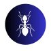 Ants