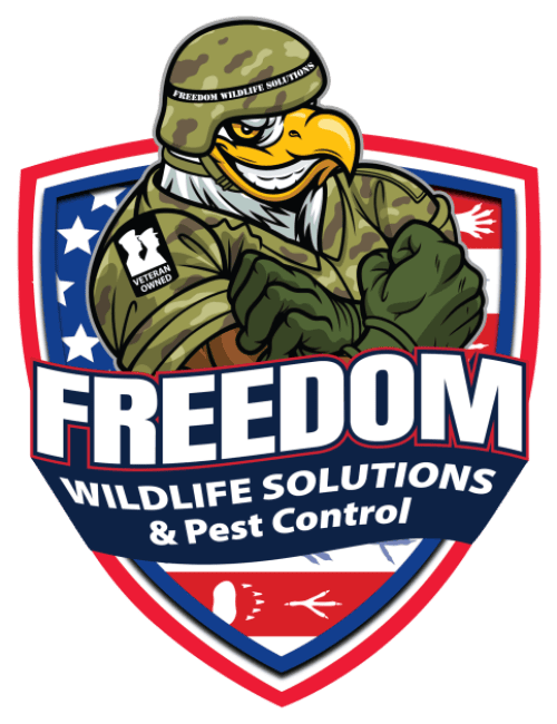 Freedom Wildlife Solutions & Pest Control servicing the greater Raleigh area