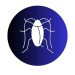Roaches