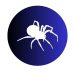 Spiders