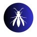 Stinging Insects